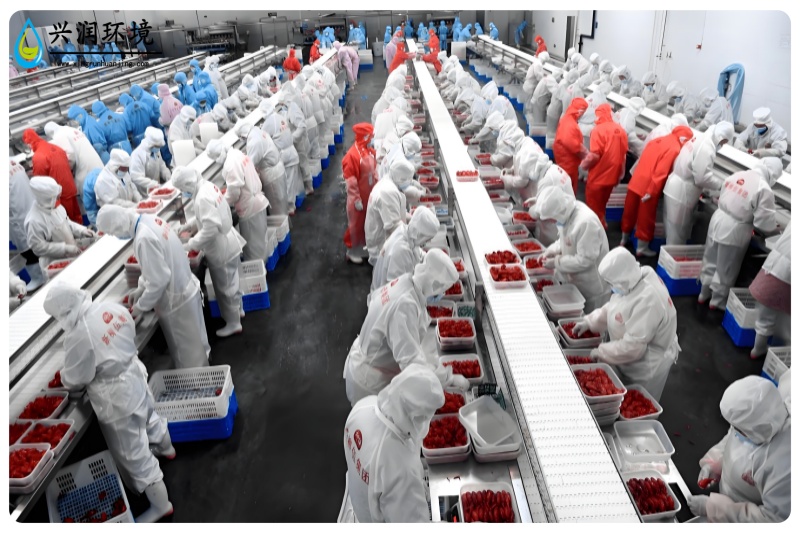 食品廠污水處理